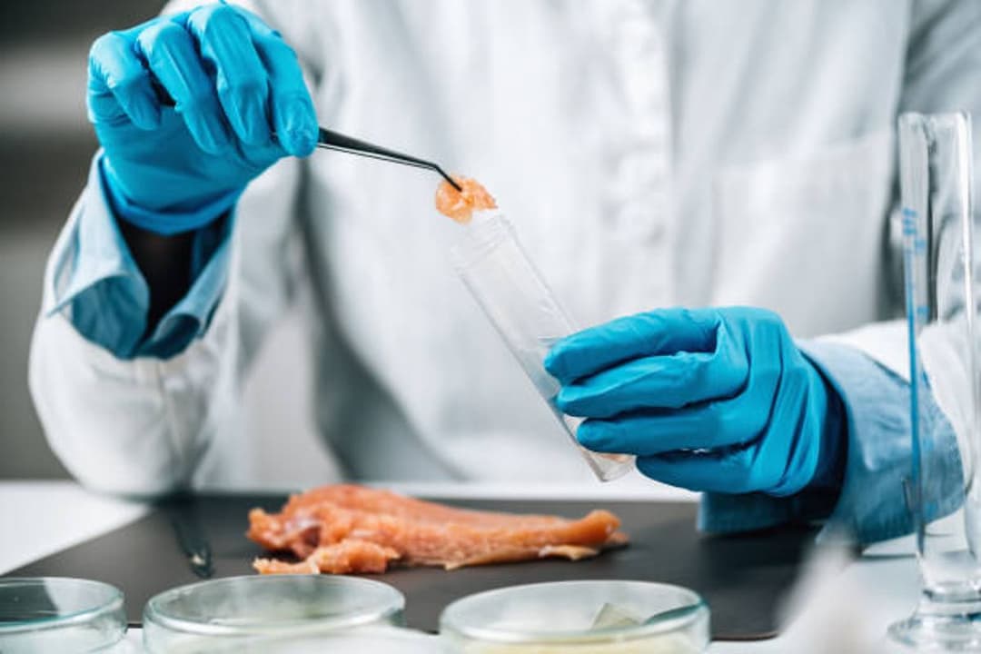 La FDA da luz verde a la revolucionaria carne de pollo cultivada en laboratorio