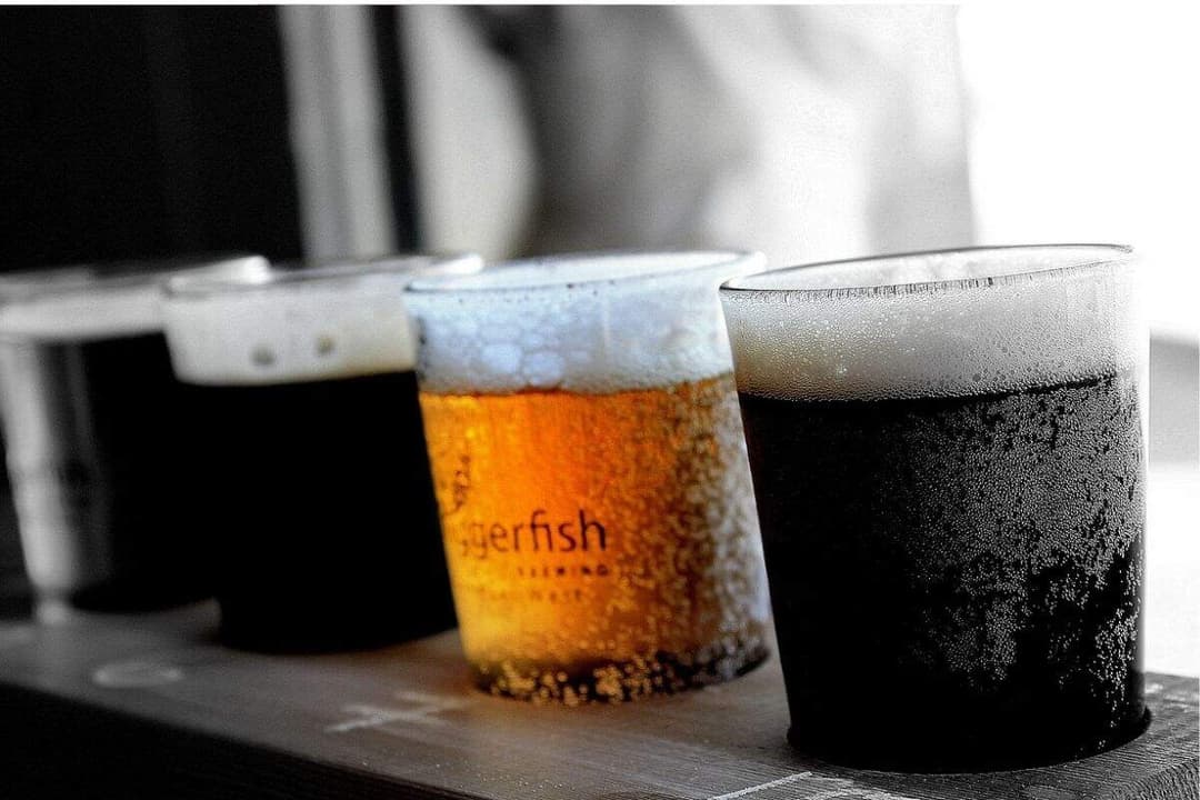 Cerveza en polvo: Una innovación que cambiará el mundo del alcohol