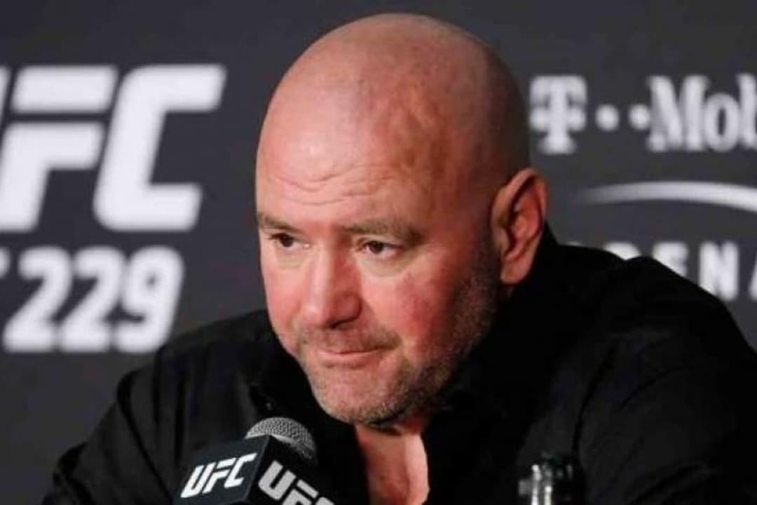 ¿Qué dice el presidente de UFC de la pelea entre Zuckerberg y Musk?