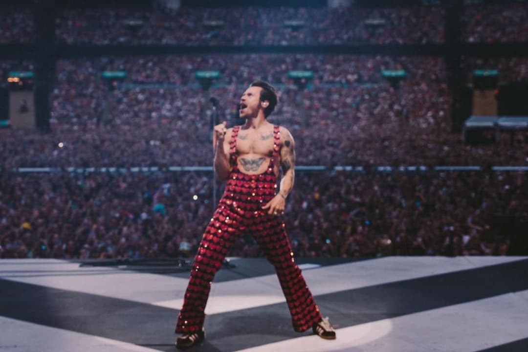 Harry Styles detiene concierto para que fan embarazada use el baño