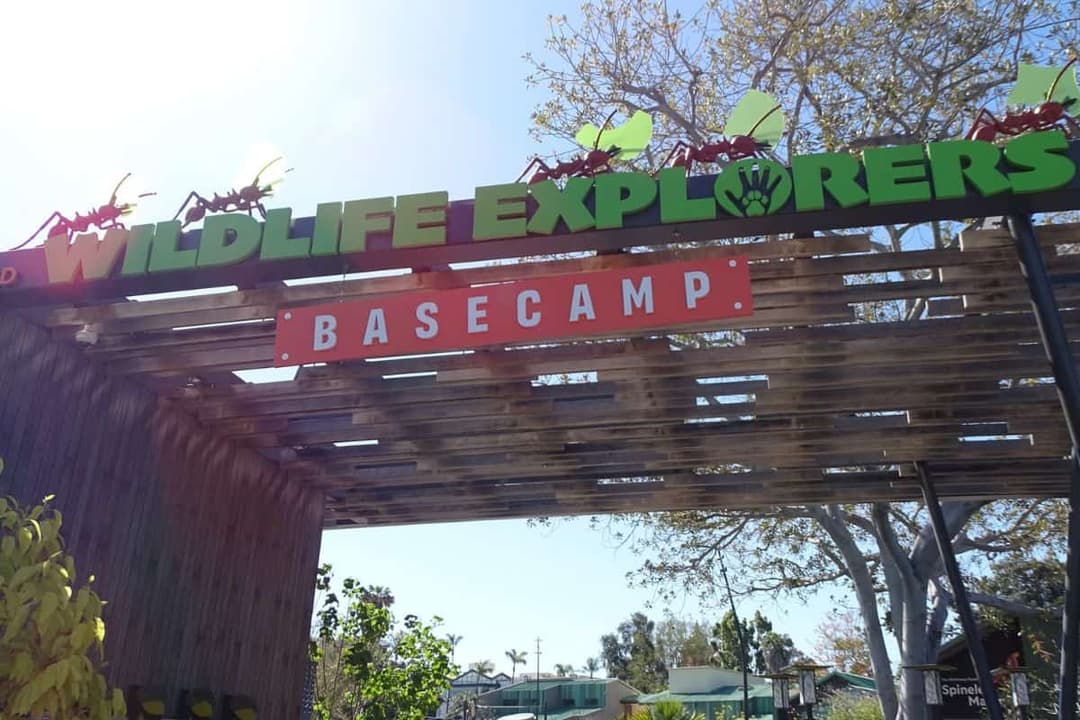 Día del Niño: Así se llevó a cabo esta celebración con San Diego Zoo Wildlife Alliance