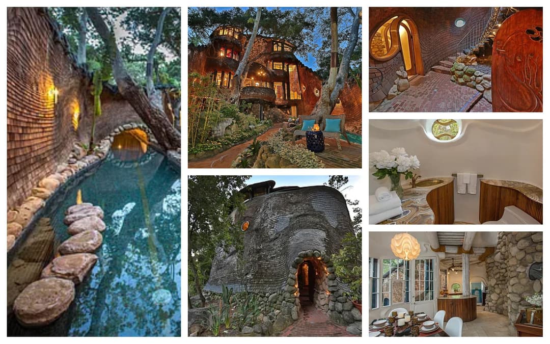 Casa Ballena de Santa Bárbara: Un refugio arquitectónico en el bosque