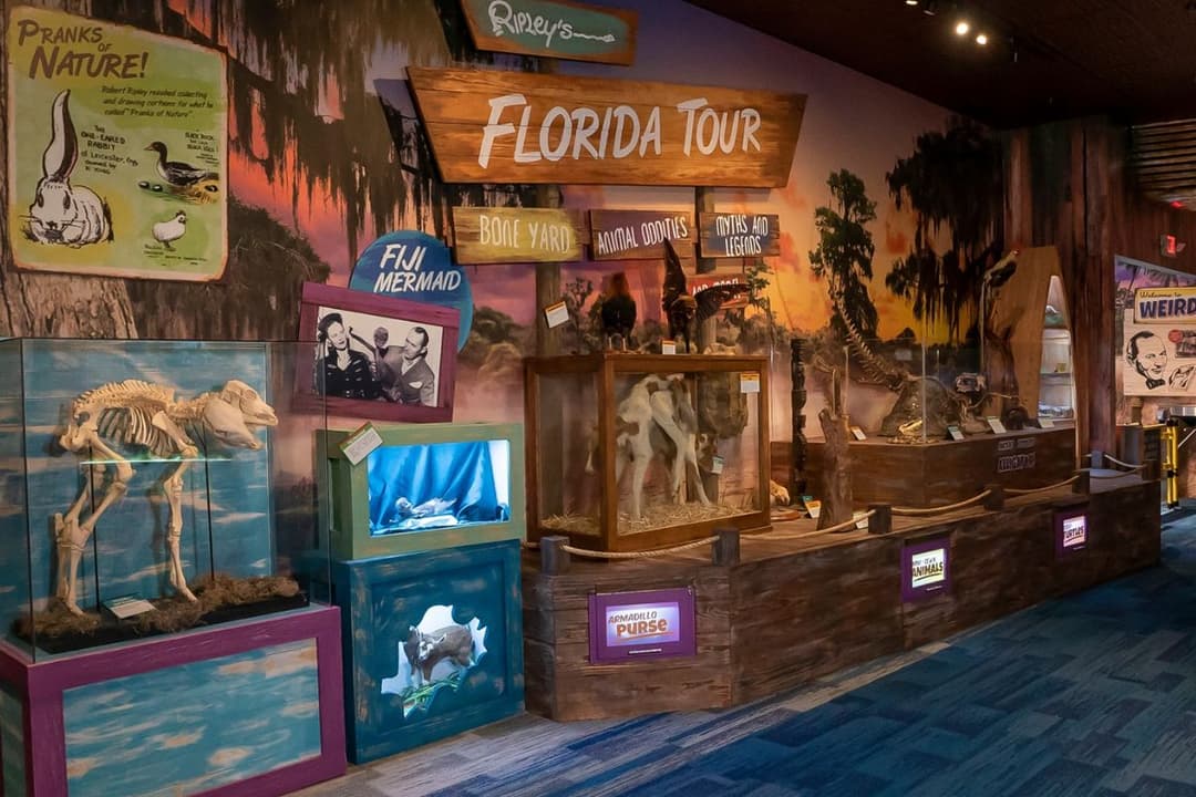 Ripleys Believe It or Not: el descuento del 25% que tiene para ciertos visitantes