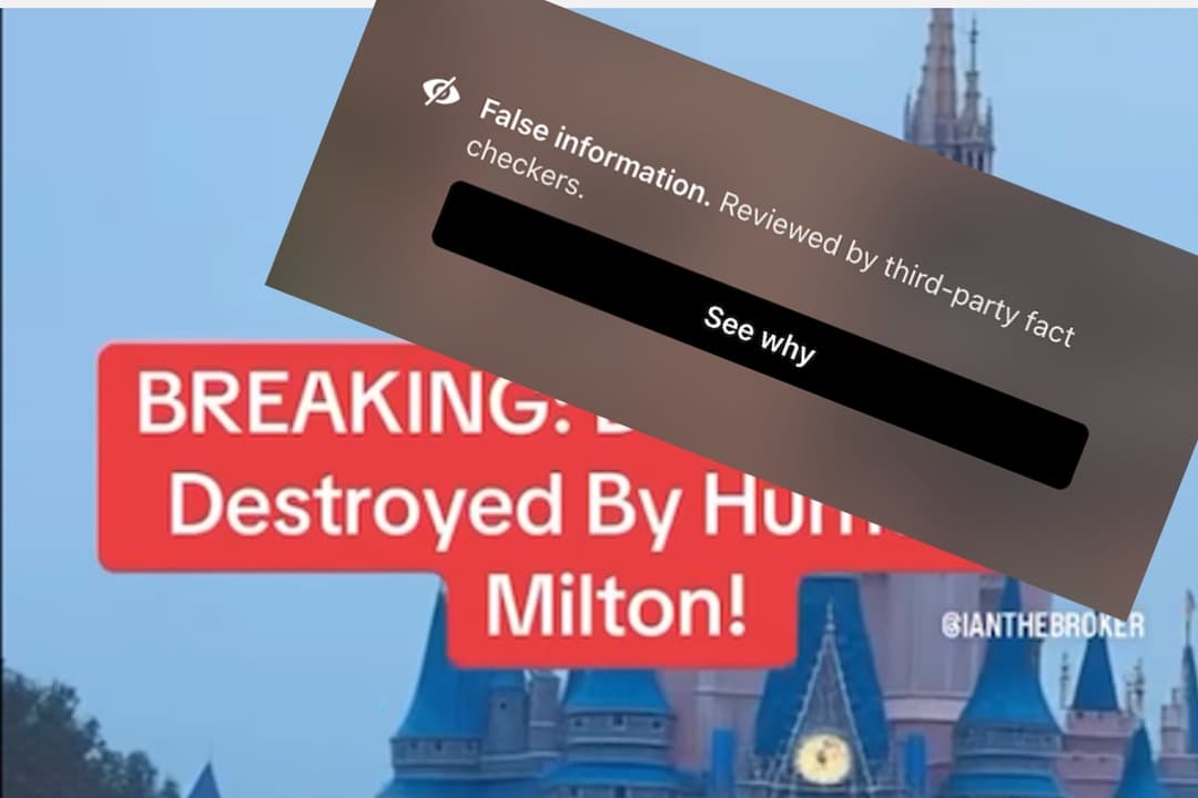¡El Post Falso que dijo Disney Destruido por Milton!